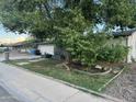 Well-maintained front yard with mature trees and xeriscaping features surrounding a charming home at 3639 W Beryl Ave, Phoenix, AZ 85051