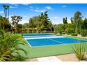 Brightly colored pickleball court surrounded by lush landscaping invites friendly competition and outdoor fun at 8001 E Voltaire Ave, Scottsdale, AZ 85260