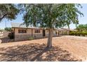 Charming single-story home with stone accents, mature trees and a covered carport at 501 W Dublin St, Chandler, AZ 85225