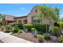 Beautiful single-story home with a landscaped front yard and desert plants at 20699 W Ridge Rd, Buckeye, AZ 85396