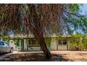 A lovely front exterior view of the home with a mature tree in the front at 3226 W Grovers Ave, Phoenix, AZ 85053