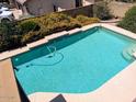 Backyard pool with clean water, patio, and green plants, offering a refreshing escape at 2050 W Nido Ave, Mesa, AZ 85202