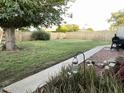 Large backyard with mature trees, grassy lawn, block fence and space for outdoor activities at 9615 N 34Th Ave, Phoenix, AZ 85051