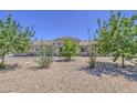 Inviting single-story home with desert landscaping, mature trees, and a well-maintained facade at 9759 E Brown Rd, Mesa, AZ 85207