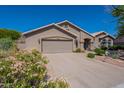 Single-story home with a two-car garage, a well-kept lawn, and vibrant desert flowers at 2422 E Rockledge Rd, Phoenix, AZ 85048