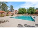Community pool surrounded by lounge chairs and mature trees for relaxation at 5704 E Aire Libre Ave # 1038, Scottsdale, AZ 85254