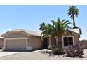 Beautiful single-story home showcasing desert landscaping, including cactus and mature palm trees at 6460 S Springs Pl, Chandler, AZ 85249