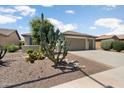 Landscaped front yard with a variety of native desert plants, leading to a charming stucco home at 26247 W Lone Cactus Dr, Buckeye, AZ 85396