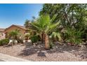 Well-manicured desert landscape features palm trees and mature desert vegetation at 4345 E Annette Dr, Phoenix, AZ 85032