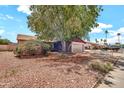 Suburban house with mature landscaping and large shade tree in the front yard at 5140 N 69Th Ave, Glendale, AZ 85303