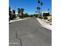 A quiet neighborhood street lined with palm trees and well-maintained desert landscaping at 7607 E Bonita Dr, Scottsdale, AZ 85250