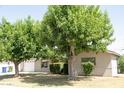 Charming single-story home with mature trees and a well-maintained lawn at 1412 W 7Th Pl, Tempe, AZ 85281