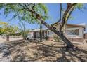 Inviting single-story home with desert landscaping and a large shade tree in the front yard at 2432 W Echo Ln, Phoenix, AZ 85021