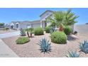 Well-maintained front yard with desert landscaping, including rocks, bushes, and palm trees at 38144 W San Clemente St, Maricopa, AZ 85138