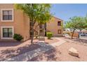 Beautiful condo community with well-maintained grounds, mature trees, and convenient access to parking at 8787 E Mountain View Rd # 1110, Scottsdale, AZ 85258