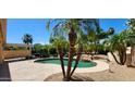 Relaxing backyard oasis with a pool, surrounded by lush landscaping and palm trees at 15728 W Verde Ln, Goodyear, AZ 85395