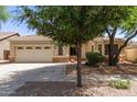 Charming single-Gathering home with a two-car garage, desert landscaping, and mature trees at 20895 E Via Del Rancho Rd, Queen Creek, AZ 85142