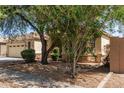 Single-Gathering home with desert landscaping, mature trees, and stone accents at 20895 E Via Del Rancho Rd, Queen Creek, AZ 85142