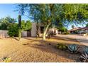 Attractive home featuring desert landscaping with cacti and a mature shade tree in the front yard at 14687 W Amelia Ave, Goodyear, AZ 85395