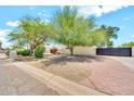 Home with mature desert trees and desert landscaping, secured by a stucco wall and decorative metal gate at 6215 E Surrey Ave, Scottsdale, AZ 85254