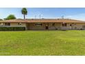 Expansive backyard of single-story home, perfect for outdoor activities and relaxation at 1004 E Gemini Dr, Tempe, AZ 85283