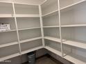 Walk-in pantry with multiple shelves providing lots of storage at 22913 N 183Rd Dr, Surprise, AZ 85387