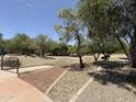 A tranquil community park with walking paths, mature trees and desert landscaping at 16784 W Polk St, Goodyear, AZ 85338