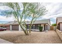 Charming home with gravel landscaping, garage, and tree in the front yard at 6627 S 42Nd Pl, Phoenix, AZ 85042