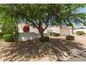Attractive single-story home with white exterior, red awnings and roof, and a mature shade tree at 38 E Calavar Rd, Phoenix, AZ 85022