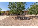 Charming single-story home with mature trees, low-maintenance rock landscaping, and a welcoming facade at 538 E Estevan Ave, Apache Junction, AZ 85119