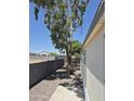 Side view of the home featuring rock landscaping, a tall tree, and a concrete patio at 7920 W Glendale Ave # 39, Glendale, AZ 85303