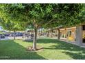 Expansive backyard featuring a waterfall pool, lush lawn, covered patio, and mature trees at 12434 S Ki Cir, Phoenix, AZ 85044