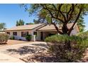 Inviting single-story home with well-maintained landscaping and a covered front entryway at 3021 E Windrose Dr, Phoenix, AZ 85032