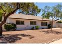 Attractive single-story home with desert landscaping, shrubs and mature trees in the front yard at 3021 E Windrose Dr, Phoenix, AZ 85032