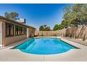 Sparkling pool surrounded by a concrete patio, with a grassy area and block wall for privacy at 308 W Oraibi Dr, Phoenix, AZ 85027