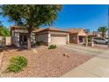 Single-story tan home with a two car garage, driveway, desert landscaping and a large shade tree at 3685 N 141St Dr, Goodyear, AZ 85395