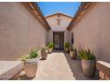 Inviting entryway with potted plants leading to a bright, modern front door at 595 W Dragon Tree Ave, Queen Creek, AZ 85140