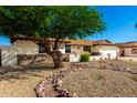 Single-story home featuring xeriscaping, a stone facade, a mature tree, and a two-car garage at 1611 W Palomino Dr, Chandler, AZ 85224