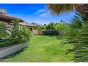 Well-kept backyard with lush green lawn, flowering bushes, and mature palm trees at 7526 W Cheryl Dr, Peoria, AZ 85345