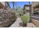 Scenic walkway with flowering bushes along well-maintained landscaping at 19700 N 76Th St # 1103, Scottsdale, AZ 85255