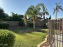 Green backyard featuring a well-maintained lawn at 2092 E Smoke Tree Rd, Gilbert, AZ 85296