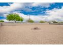 Spacious gravel backyard with block wall, mature trees, and a decorative rock fire pit area at 4061 N 308Th Ln, Buckeye, AZ 85396
