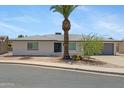 Charming single-story home with desert landscaping, palm trees, and inviting curb appeal at 4347 E Catalina Cir, Mesa, AZ 85206