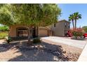 Attractive single-Gathering home featuring a lush front yard, mature trees, and a long driveway leading to a two-car garage at 42551 W Anne Ln, Maricopa, AZ 85138