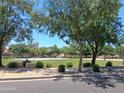 Enjoy a game of basketball or volleyball on the community court surrounded by mature trees and greenery at 1465 S Longspur S Ln, Gilbert, AZ 85296