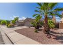 Beautiful home featuring desert landscaping, native palm trees and a well-maintained front yard at 16554 W Saguaro Ln, Surprise, AZ 85388