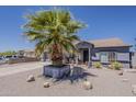 Single-story home boasts desert landscaping, a mature palm tree, and a quaint front patio at 6154 S Borego Rd, Gold Canyon, AZ 85118
