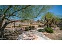Serene desert backyard featuring natural landscaping, mature trees, and stone accents at 116 E Mountain Sky Ave, Phoenix, AZ 85048
