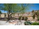 Lush backyard with a large tree, desert plants, and serene desert views at 116 E Mountain Sky Ave, Phoenix, AZ 85048