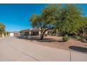 Home exterior with spacious driveway, desert landscaping and a three car garage at 2661 E Birchwood Pl, Chandler, AZ 85249